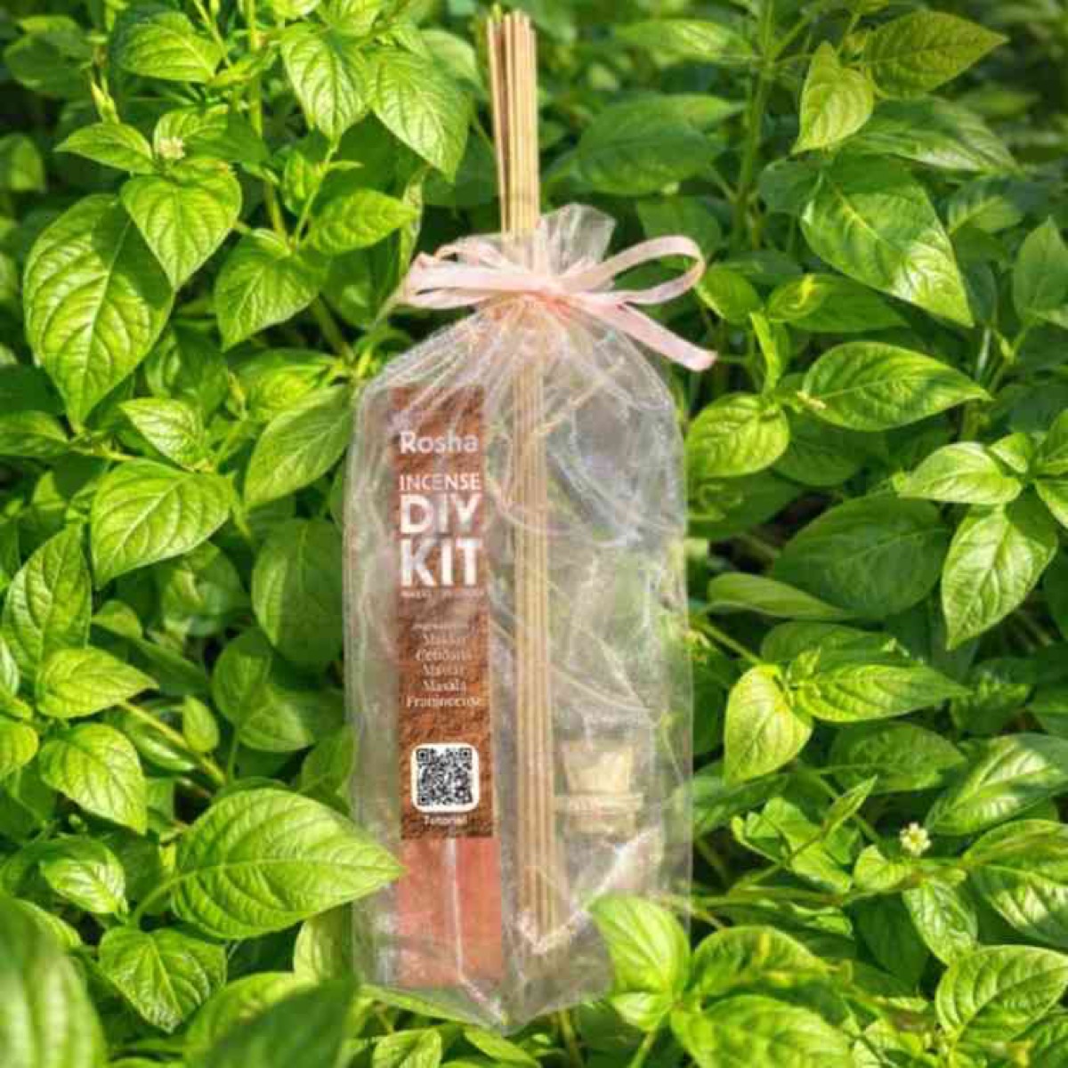 Rosha DIY incense kit wrapped in greenery
